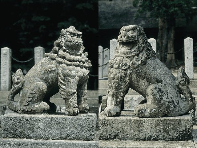 日本|京都宮津|元伊勢籠神社完整攻略-天橋立必訪千年神社、交通費用、周邊景點一次搞定 - 第7張圖 重要文化財:一對狛犬
