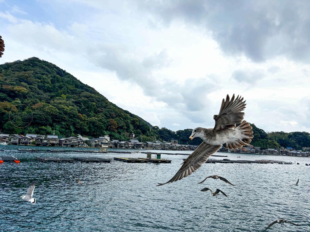 20251001-nd5zm 20251001-nd5zm
