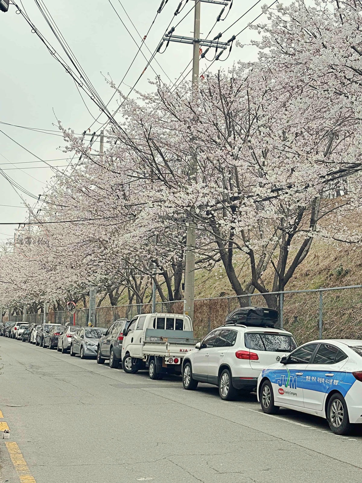 홈즈스테이 수원  對面櫻花
