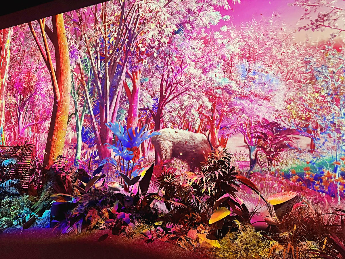 20251001-ndxsl