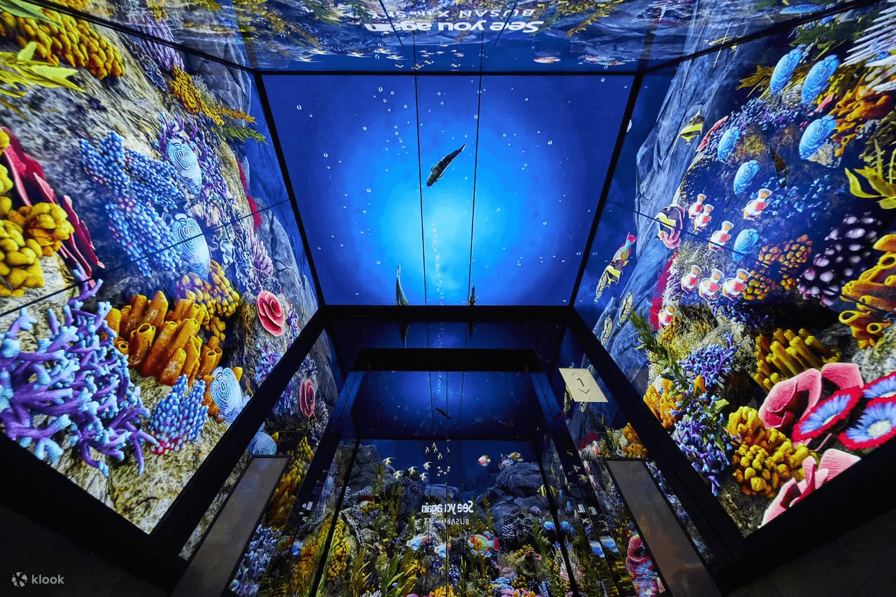 釜山X the SKY電梯