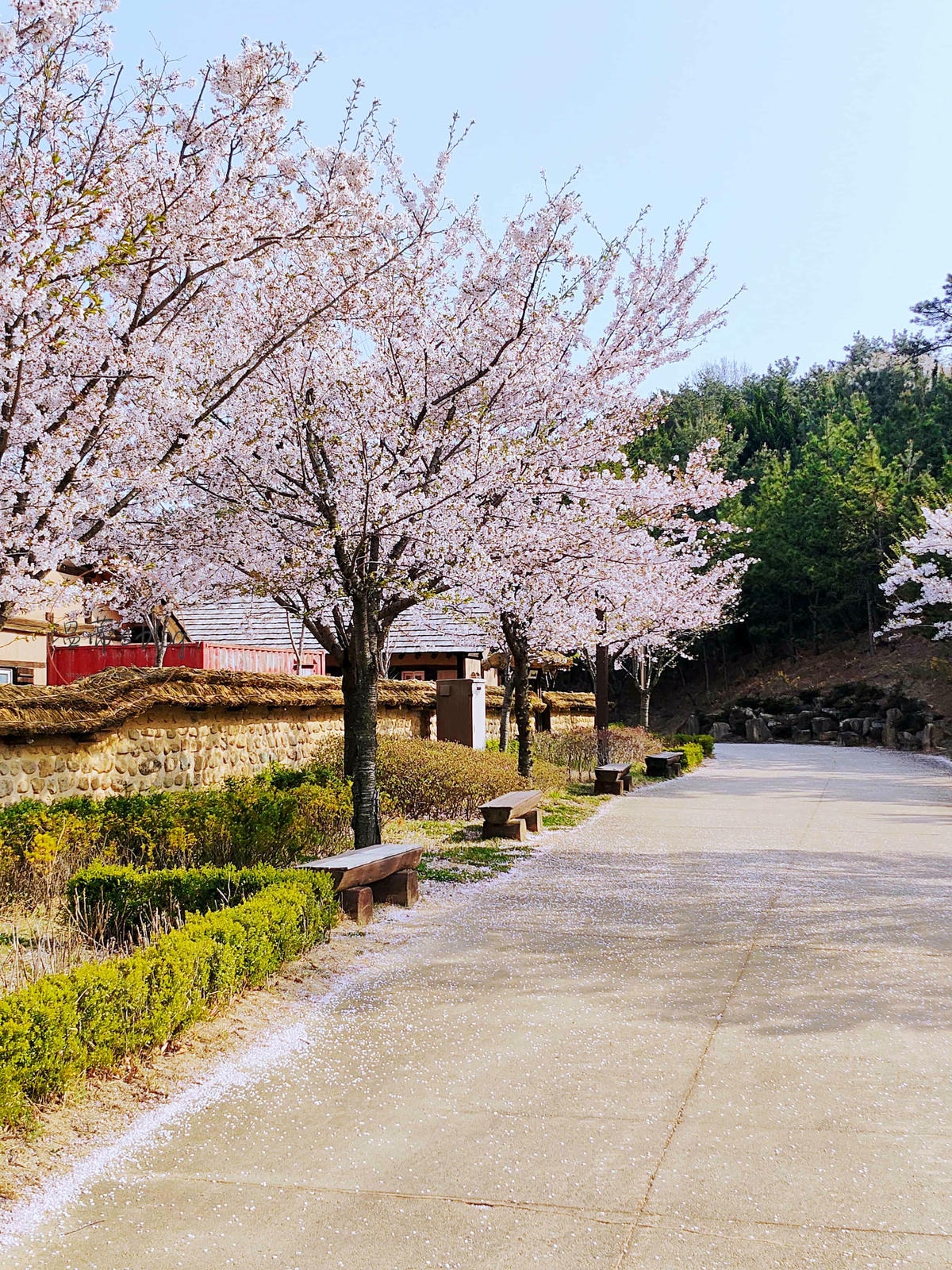 20251001-8ysck 金海加耶主題公園