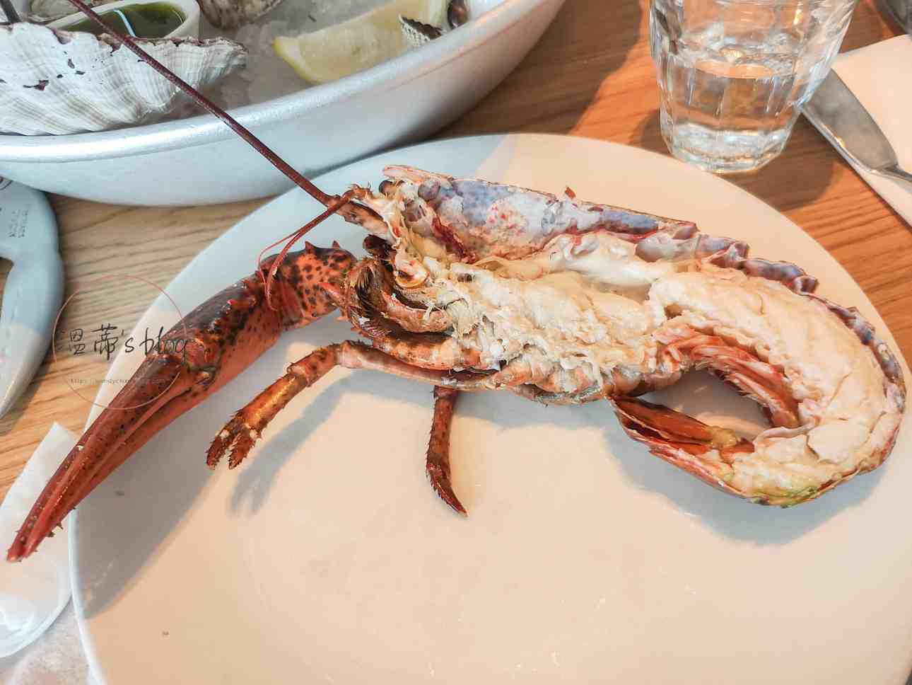 lobster 