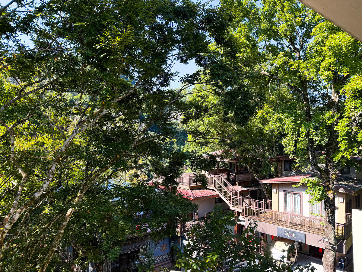 苗栗泰安住宿「虎山溫泉會館」走吊橋進小島,泡美人湯住一晚 - 第8張圖 虎山溫泉會館 雙人房景觀