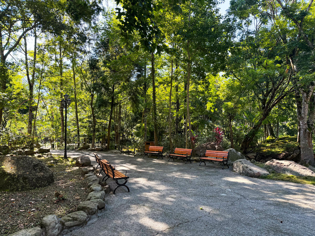 苗栗泰安住宿「虎山溫泉會館」走吊橋進小島,泡美人湯住一晚 - 第3張圖 虎山溫泉會館
