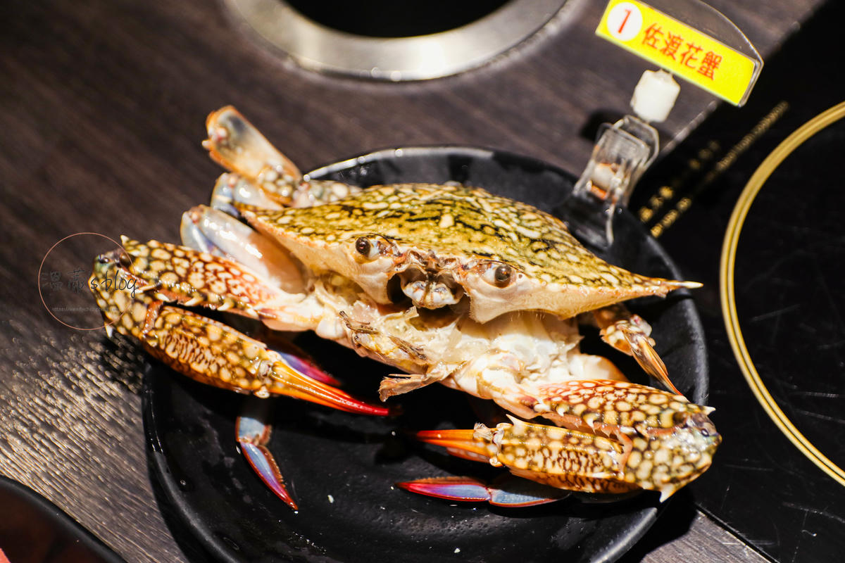新北林口美食「魔椒頂級鴛鴦鍋」火鍋吃到飽只要859起,啤酒無限暢飲太爽了!-附菜單 - 第24張圖 佐渡花蟹