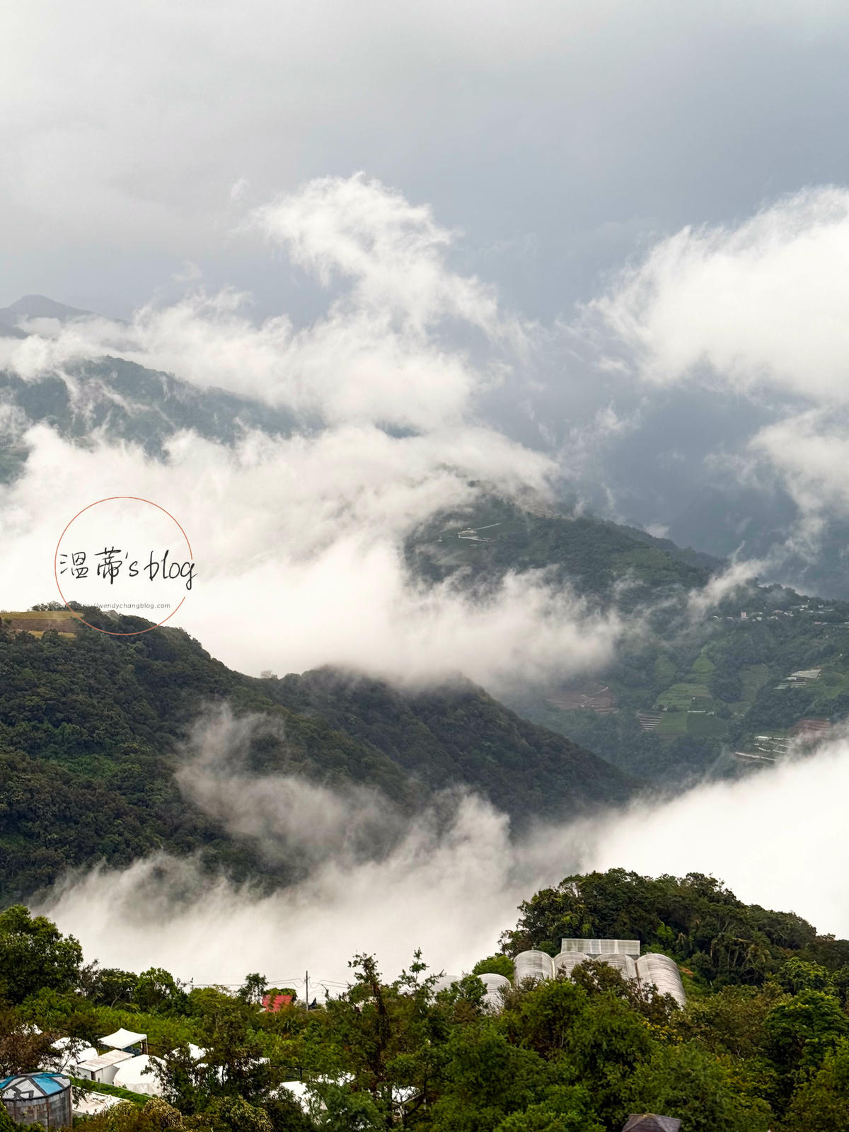 清境普羅旺斯玫瑰莊園 陽台景觀