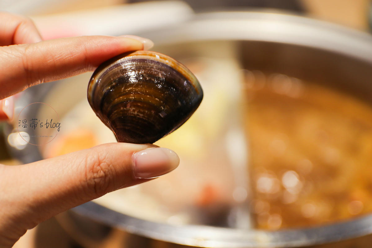 桃園藝文特區「極禾優質鍋物」海鮮七小福太強!湯底自然回甘不死鹹-附菜單 - 第28張圖 六小福