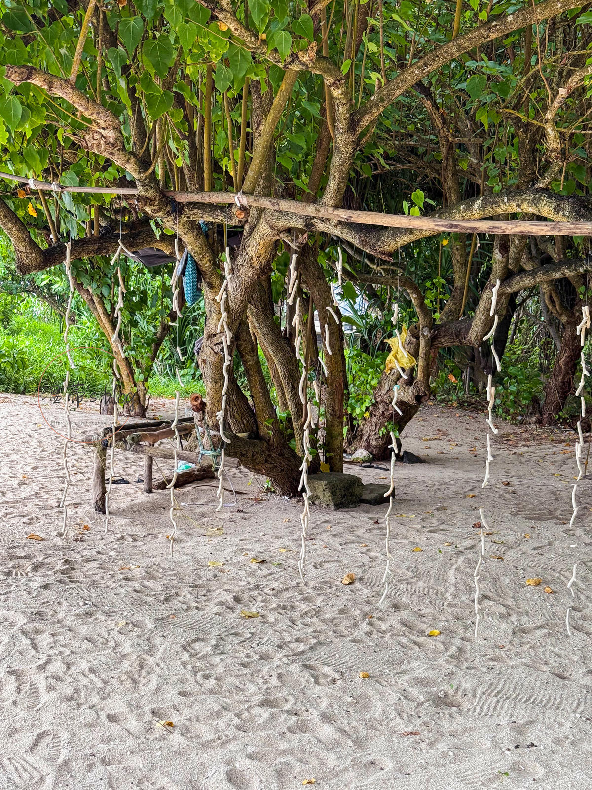 斯里蘭卡高蹺立釣 Stilt Fishing|全球唯一的傳統釣魚方法 - 第5張圖 斯里蘭卡高蹺立釣 海灘
