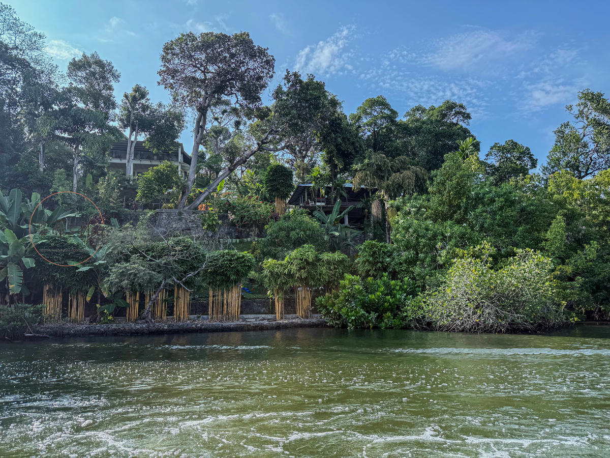 斯里蘭卡景點|馬渡河紅樹林遊船,療癒的慢旅行 - 第7張圖 馬渡河紅樹林遊船