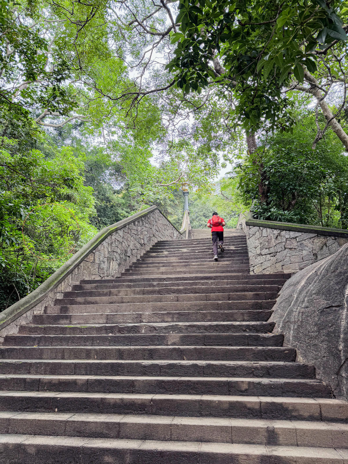 斯里蘭卡景點|丹布拉石窟寺:走進兩千年歷史的黃金洞穴 - 第2張圖 斯里蘭卡景點|丹布拉石窟寺Dambulla Cave Temple