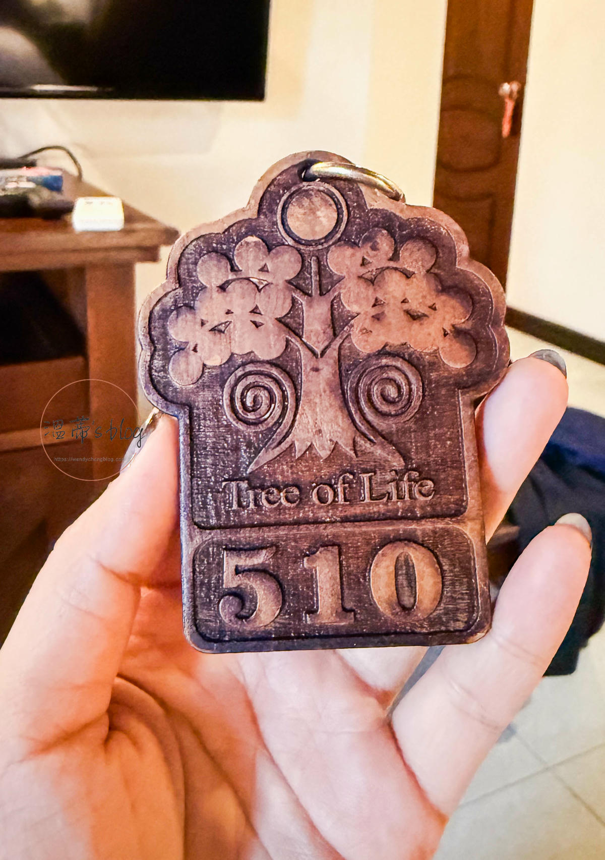 斯里蘭卡住宿|生命之樹飯店 Hotel Tree of Life - 第10張圖 生命之樹飯店 Hotel Tree of Life 510房卡