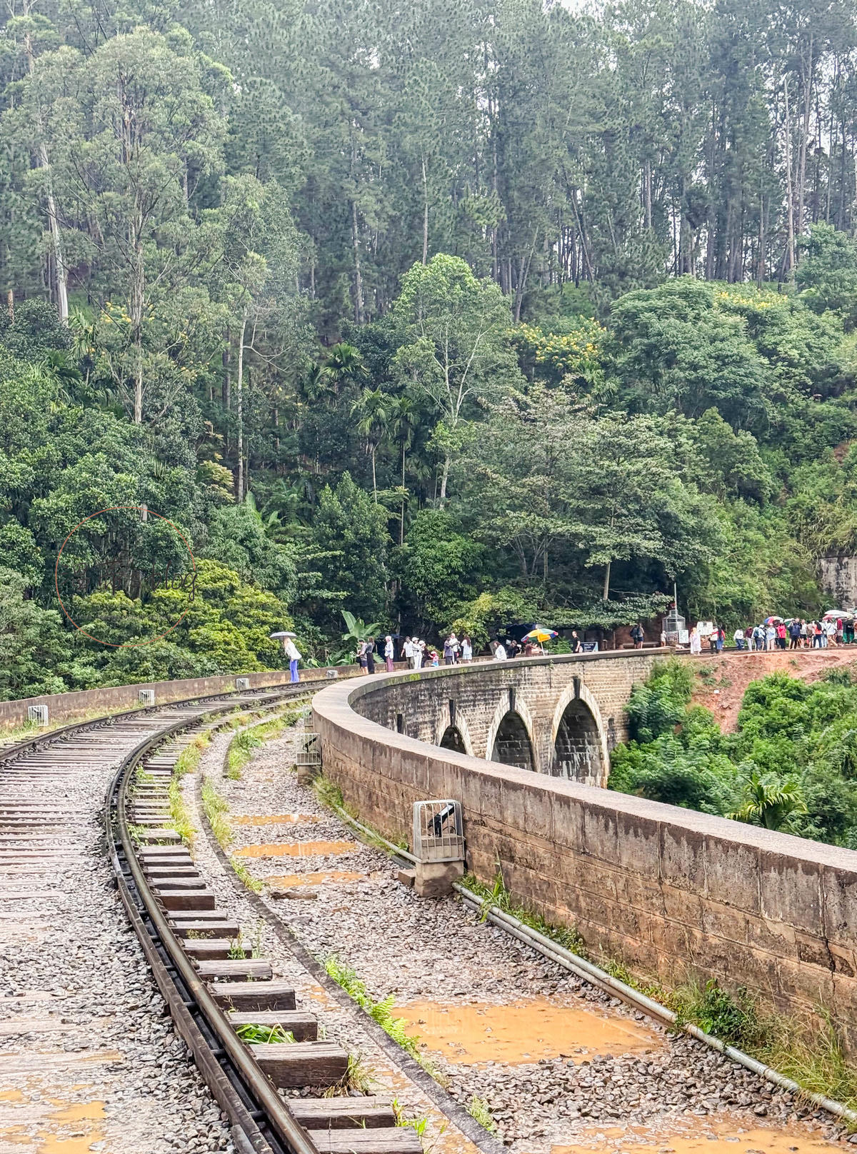 斯里蘭卡景點|九拱橋 Nine Arches Bridge隱身於高山的「天空之橋」 - 第7張圖 斯里蘭卡鐵路