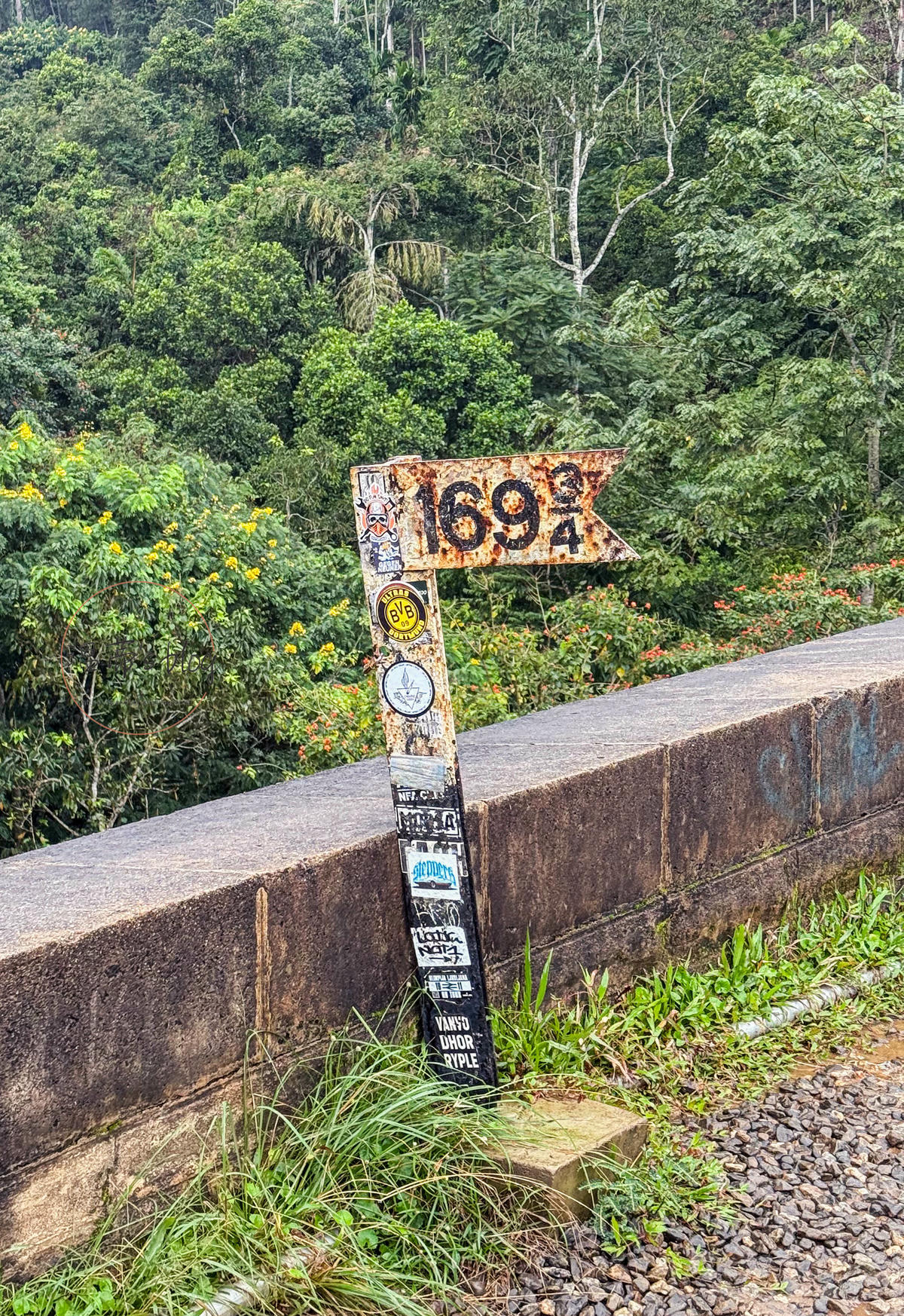 斯里蘭卡景點|九拱橋 Nine Arches Bridge隱身於高山的「天空之橋」 - 第8張圖 斯里蘭卡鐵路