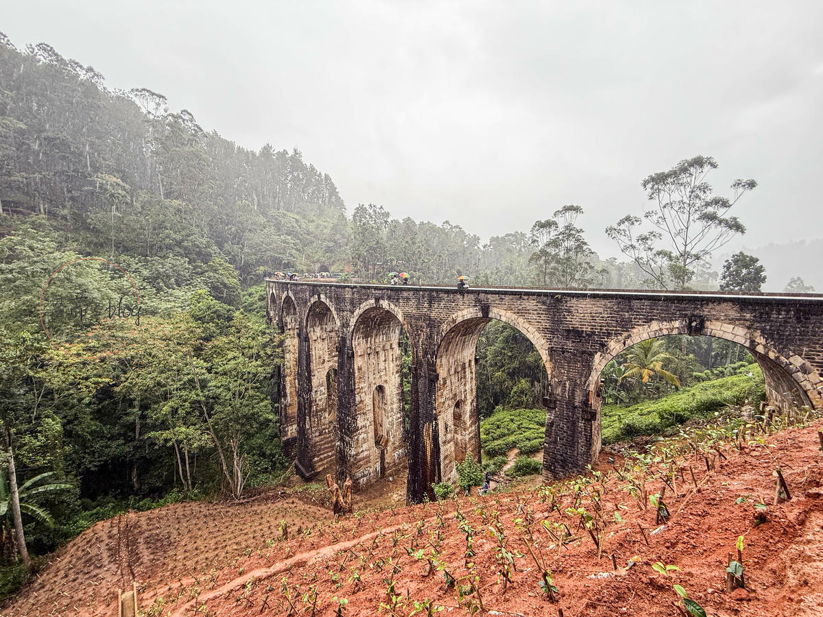 斯里蘭卡景點|九拱橋 Nine Arches Bridge隱身於高山的「天空之橋」 - 第5張圖 斯里蘭卡九拱橋 Nine Arches Bridge
