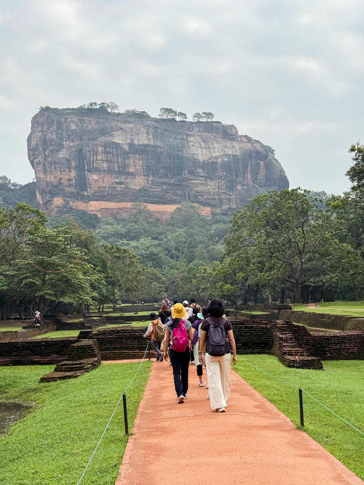 斯里蘭卡景點|獅子岩(Sigiriya)攀爬1200階梯看古代宮殿 - 第5張圖 獅子岩(Sigiriya)