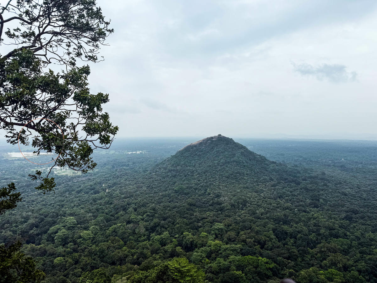斯里蘭卡景點|獅子岩(Sigiriya)攀爬1200階梯看古代宮殿 - 第8張圖 獅子岩