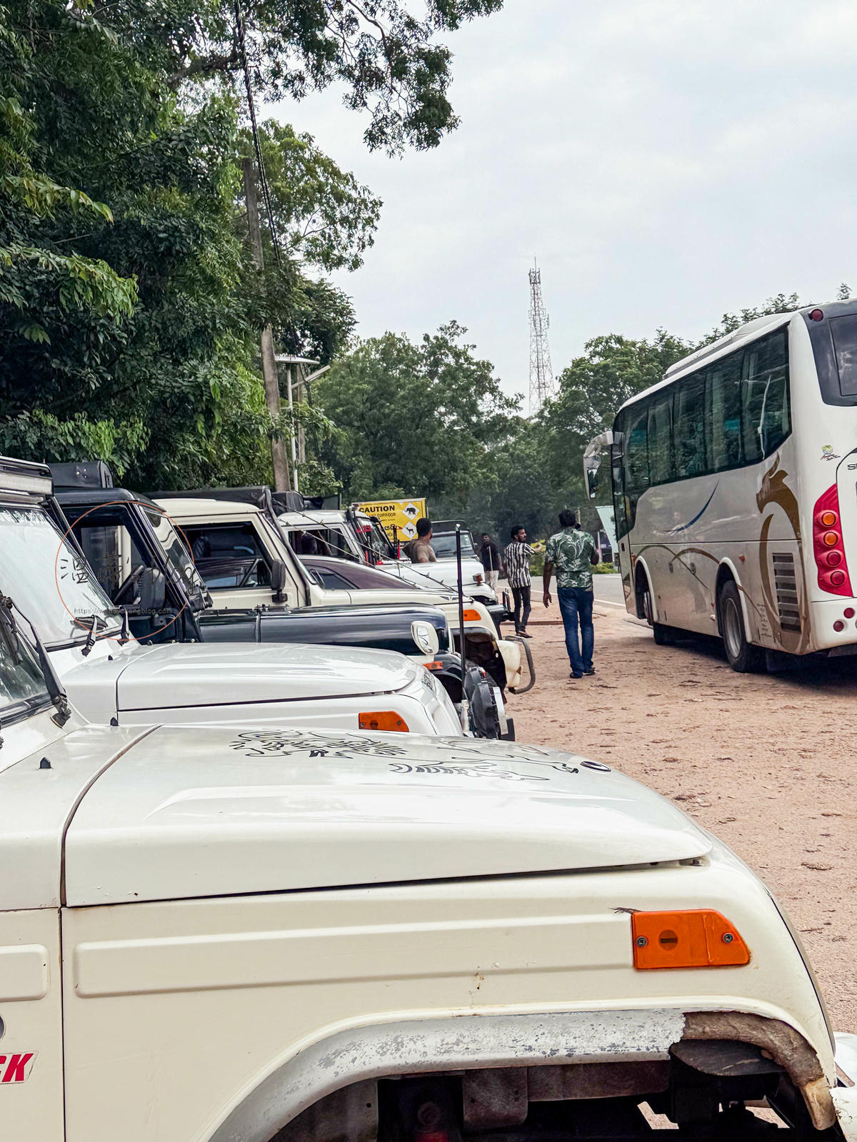 斯里蘭卡景點|Hurulu eco park胡魯魯生態公園:吉普車大象之旅 - 第2張圖 準備乘坐吉普車