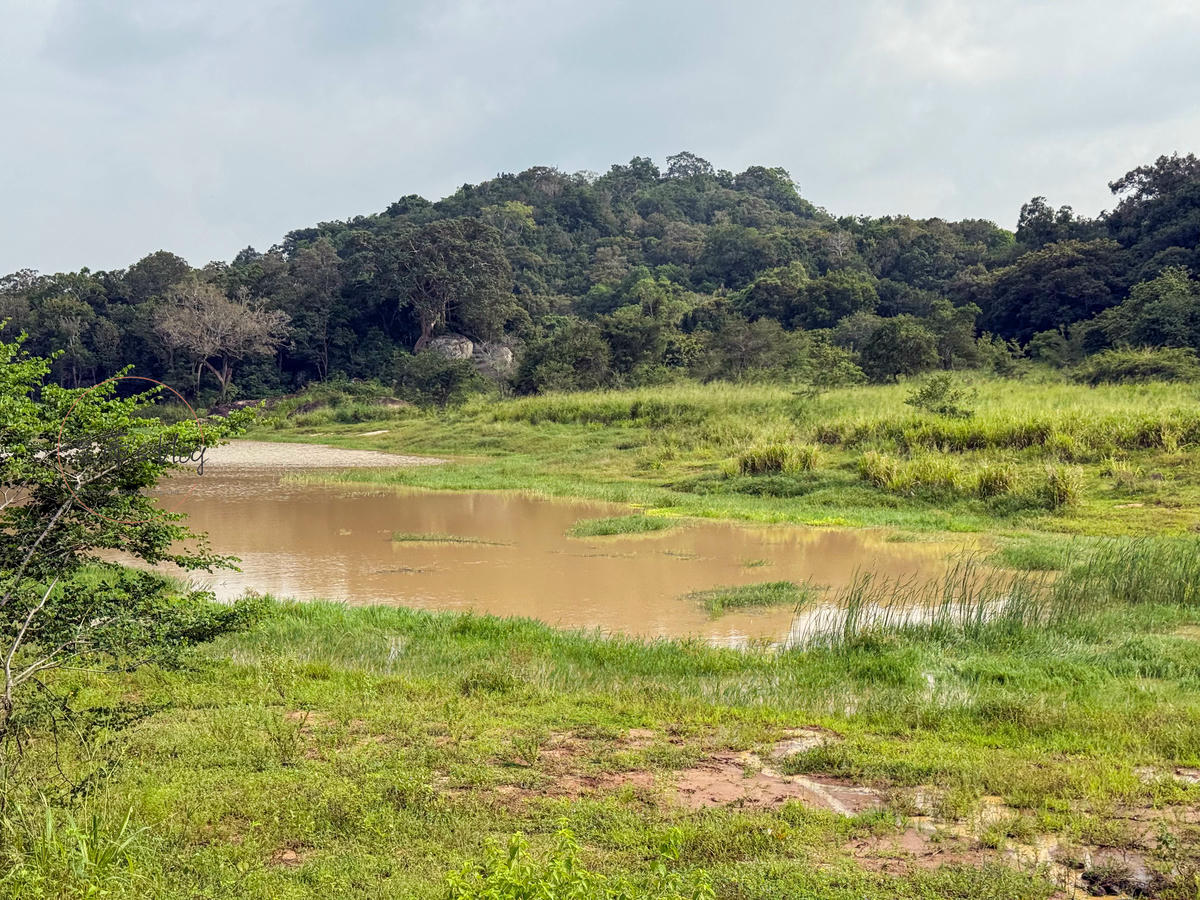 斯里蘭卡景點|Hurulu eco park胡魯魯生態公園:吉普車大象之旅 - 第15張圖 景色