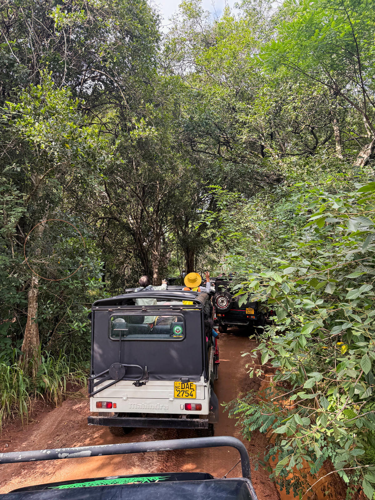 斯里蘭卡景點|Hurulu eco park胡魯魯生態公園:吉普車大象之旅 - 第4張圖 吉普車