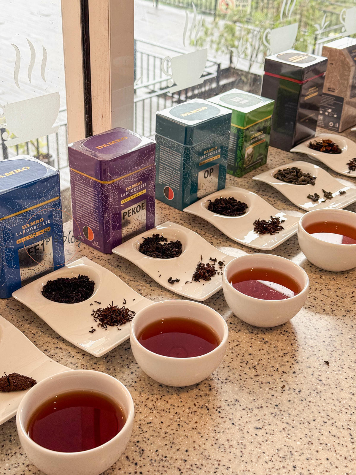 斯里蘭卡必買錫蘭紅茶|Damro Labookellie Tea Centre茶工廠參觀 - 第6張圖 錫蘭紅茶 tea factory